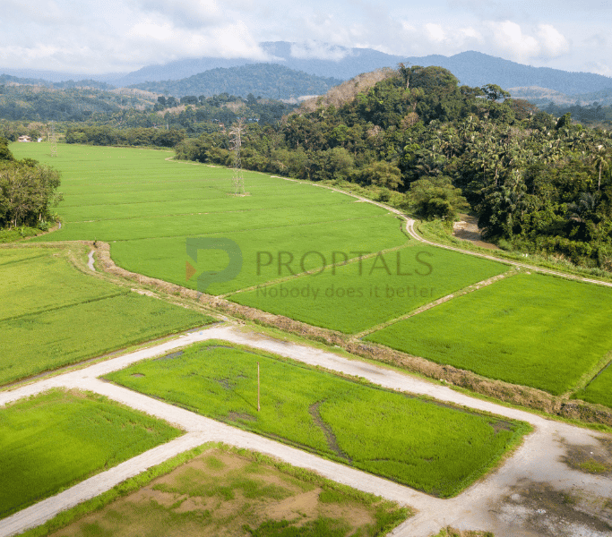 Developer Land for Sale and Joint Development in Bangalore