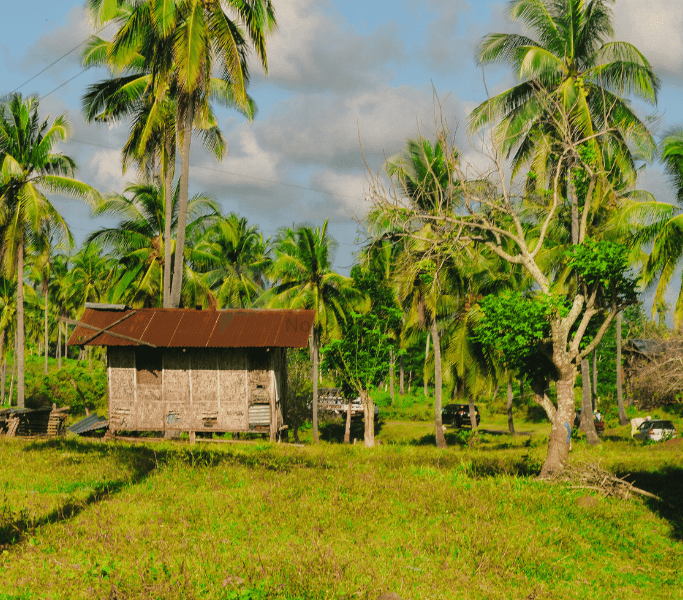 Farm Estates and Weekend House Plots in and Around Bangalore