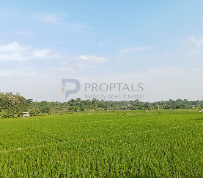 Investment Land for Sale in Bangalore