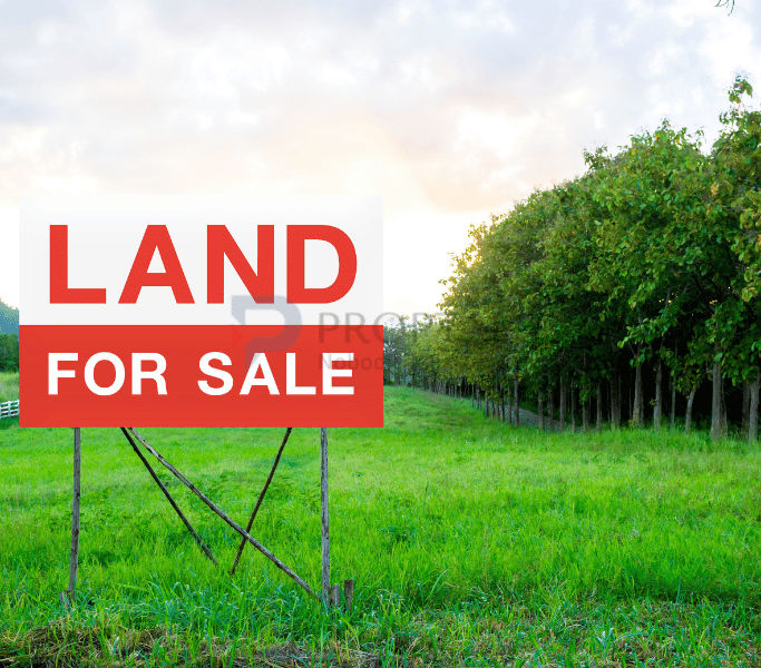 Investment Land for Sale in Bangalore
