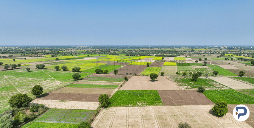 Farm Estates Opportunities in Bangalore