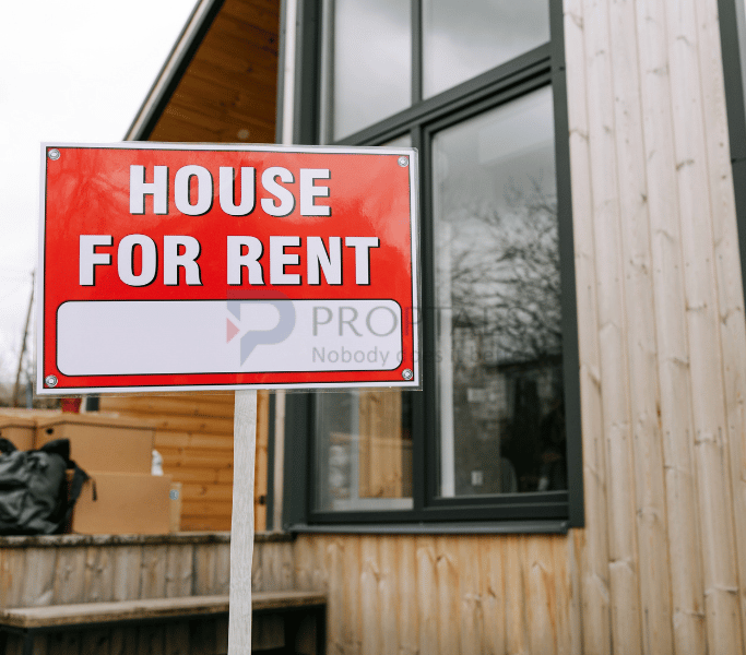 Property Management and Tenant Coordination