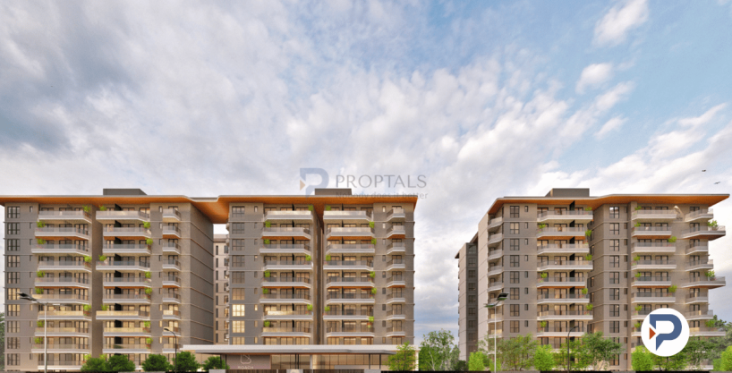 Roach Cicada, Apartments off Sarjapur Road