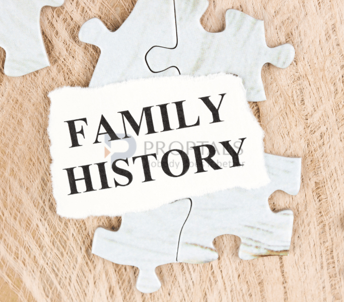 Apply for Family Tree in Bangalore