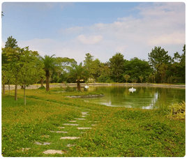 Bangalore Real Estate, Luxury Plots at Frangipani