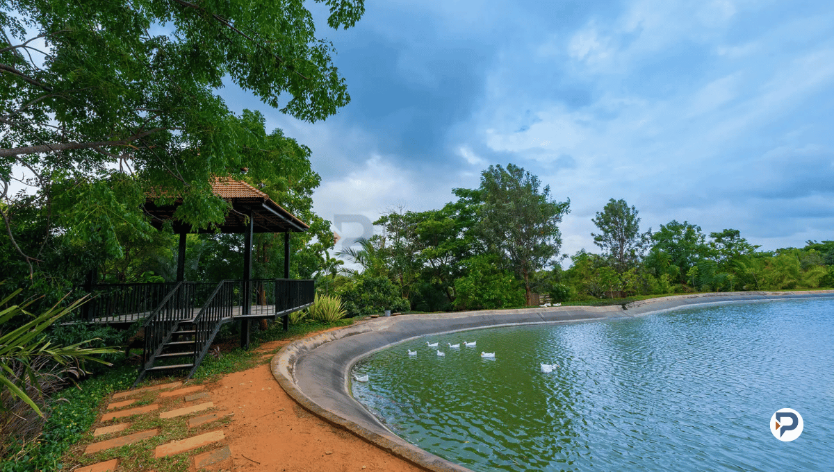 Frangipani Estates Review