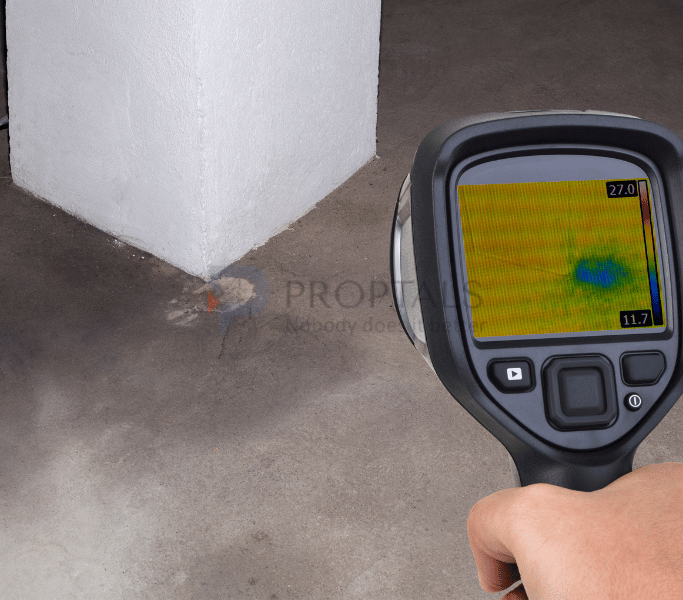 Damp & Moisture Detection by MACJ